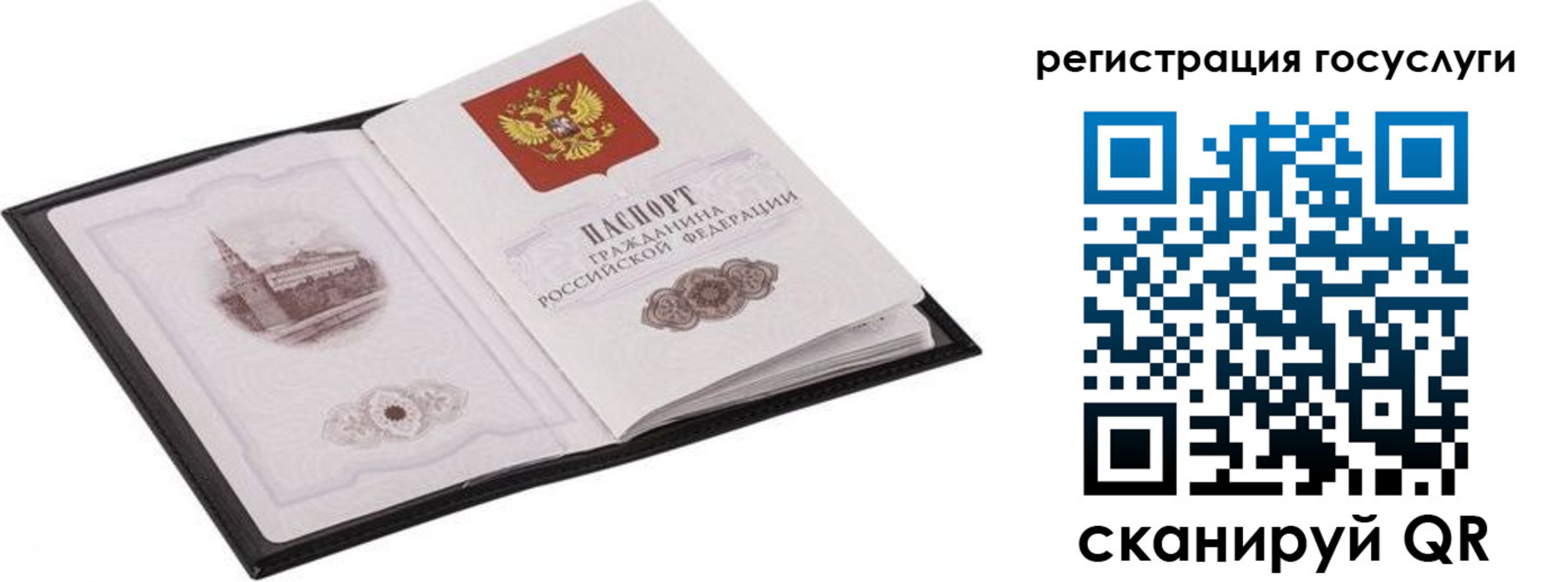 временная регистрация поиск в Болотном